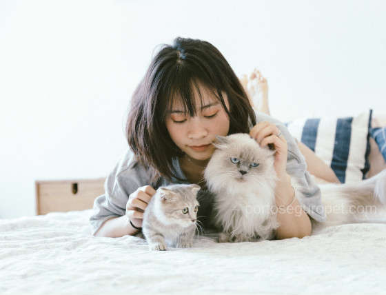 uma empresa porto seguro